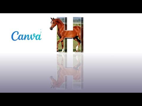 3D Show effect of Horse with Canva